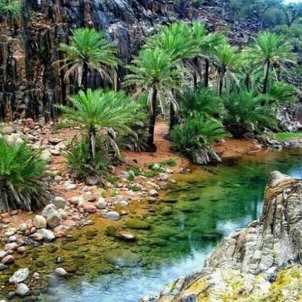 صباح الخير يايمن الخير والجمال 