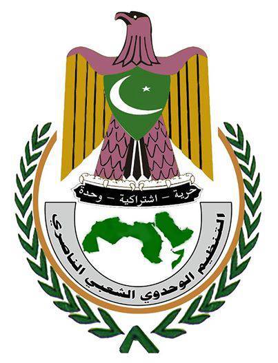 حزب التنظيم الوحدوي الناصري يعلن موقفه من عاصفة الحزم